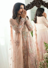Formals - Mushq - Shaam Shandar - Chiffon 25 - SHEHNAI