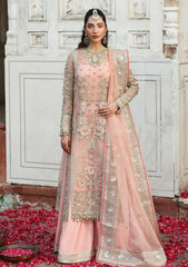 Formals - Akbar Aslam - Rang Mehal - Festive 25 - D#1608 - Naazi