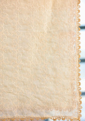 Embroidered Lawn Summer Shawl D#48 - Light Skin