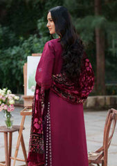 Winter - Parishay - Panache - Palachi Shawl 25 - PNE#09