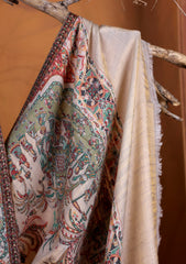 Pashmina Zari Jamawar Shawl D#01 - R Skin