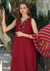 Lawn - Noor by Saadia Asad - Eid Luxe - Printedkari 25 - D#3-B