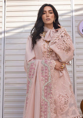 Lawn - Saira Shakira - Unstitched Festive 25 - LEYLA-A