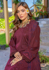 Winter Collection - Bin Rashid - Jahanara - BRJ24#02