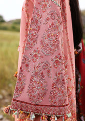 Winter - Hussain Rehar - Premium Khaddar - Edit 25 - Mahpara