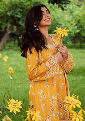 Winter - Mahnur - Gardenia - Khaddar 25 - GR#08