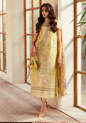 Lawn - Bin ILyas - Mehroze Luxury - BIML25# 97 - B