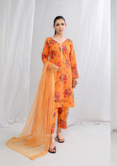 Lawn Collection - Noorma Kaamal - Printkari - DCP#09