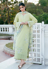Lawn - Coral - Nova Luxury 26 - NL#09