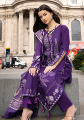 Winter - Al Zohaib - Wintry Breeze - WB-26#09
