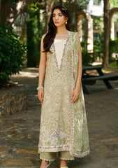 Winter - Asifa & Nabeel - Meraki - Unstitched 25 - Frozen Dew