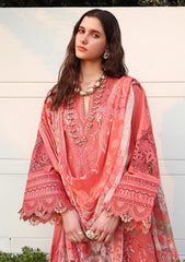 Lawn - Esmel - Belle Saison 26 - EUNSS#209 - Coralie