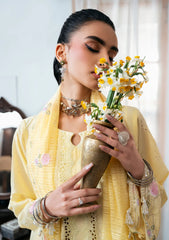 Lawn - Naqsh - Chikankari Festive 26 - D#00199 - Sun Glow