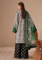 Lawn - Bin Ilyas - Jojo Summer 26 - D#85-A