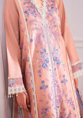 Winter - Roheenaz - Aezel - Embroidered Cambric - RC25#04 B - Wareesha