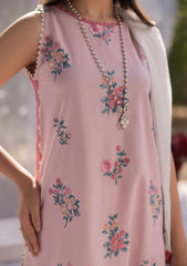 Lawn - Rubaaiyat - Muse Era - Luxury Lawn 25 - RM#05