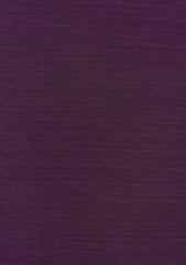 Elite Men Thai Cotton Silk Unstitched Waistcoat Fabric