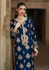 Pret - Meeral - Zaariya - Festive 25 - SAPPHIRE