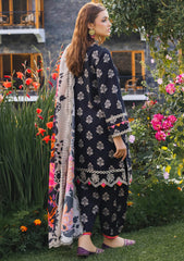 Winter Collection - Charizma - Aniq - Staple - CAES24#07