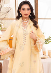 Lawn - Humdum - Nayab 26 - D#02