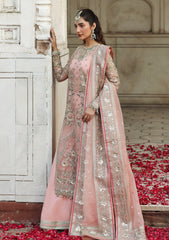 Formals - Akbar Aslam - Rang Mehal - Festive 25 - D#1608 - Naazi