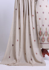 Winter - Riwaj - Pashmina Embroidered Suit - D#09 - Skin
