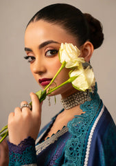 Winter - Bin ILyas - Gulrukh Khaddar 25 - BGK#65-A