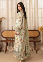 Lawn - Humdum - Senora - HSL25#09