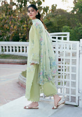 Lawn - Coral - Nova Luxury 26 - NL#09