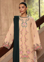 Winter - Rajbari - Winter Shawl - Exclusive 25 - D#07