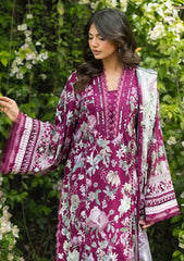 Lawn - Elaf Premium - Bridgerton Prints 26 - EPB#04B - DOLCE ROSA