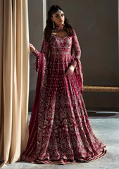 Formals - Akbar Aslam - Meeras - Luxury Chiffon 25 - D#1609 - Mahroze