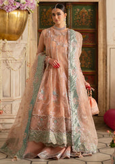 Formals - Parishay - Ranibagh - Luxury 25 - ROSHANARA