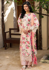 Winter - Humdum - Zaiba - Karandi 25 - D#01