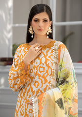 Pret - Afiay - Eid ul Adha 25 - AE#012 - Naaranji