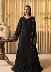 Winter Collection - Rajbari - Nissa - RBN24#10