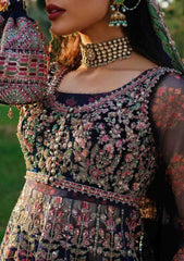 Formal Collection - Hussain Rehar - Zaib-un-nisa - Falak