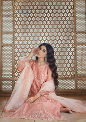 Formal Collection - Zainab Chottani - Tahra - Festive - D#07 - Roushaney
