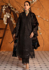 Winter Collection - Rang Rasiya - Premium Edit 24 - RRP#03 - Espresso