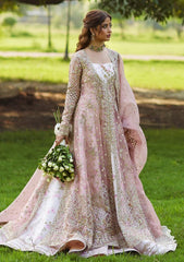 Formal Collection - Qalamkar - Shadmani - Luxury Formals - SH#08 - Saira