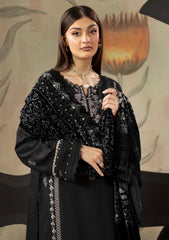 Winter - Humdum - Zouq - Wool 26 - D#08