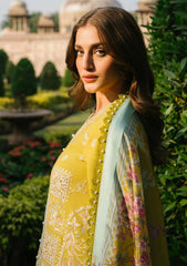 Winter Collection - Bin Ilyas - Gulabi Baagh - BI24GB 153-A