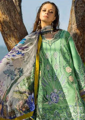 Lawn - Esmel - Nouveau Chapitre - Oree