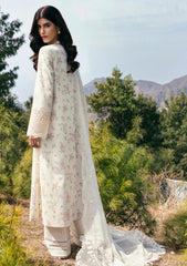 Lawn - Qalamkar - Qlinekari 25 - DC#13 - Miri