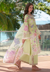 Lawn - AJR Couture - Printed Chikankari 26 - Riwa