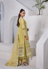 Lawn Collection - Tessa - Festive - D#8 - Stella Polaris