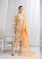 Lawn Collection - Noorma Kaamal - Printkari - DCP#10