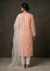 Formals - Riwaj - Fancy 26 - Thread Work - 2 Pcs - D#04 - Peach