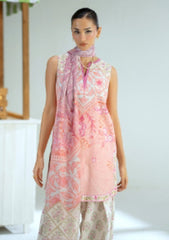 Lawn - Saira Rizwan - Joolie Prints 25 - JPU#10 - BRUNCH BABE