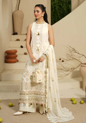 Winter - Humdum - Mushak - Embroidered Karandi - H25#02